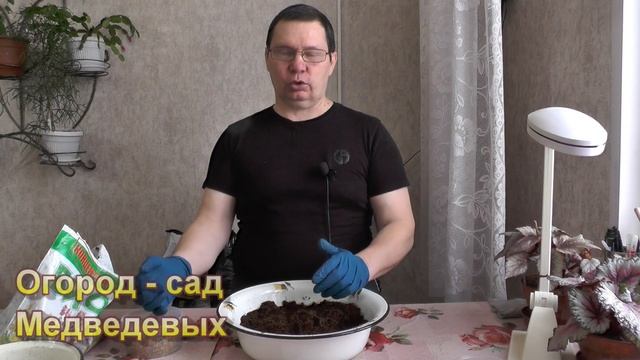 Основной грунт для рассады после пикирования смотреть онлайн