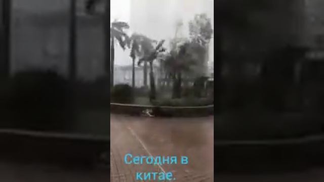 Что происходит в Китае смотреть онлайн