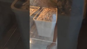 урок 3. Выпечка хлеба и температура