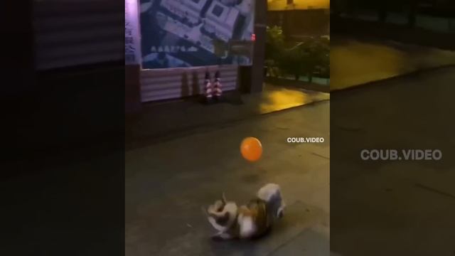 Не очень-то хотелось играть