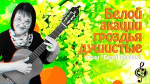 «Белой акации гроздья душистые». Базовый уровень. Подробный разбор.