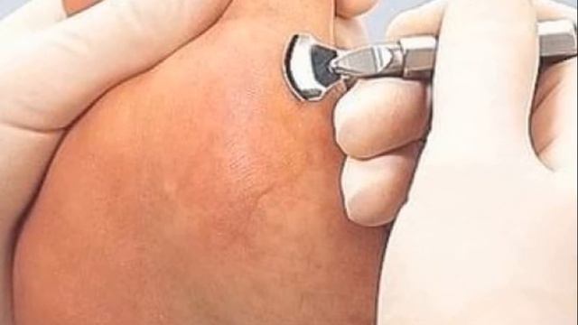 Блеск в каждом моменте