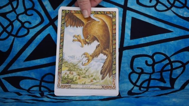 The Druid Animal Oracle Deck full flip through смотреть онлайн