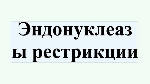 Эндонуклеазы рестрикции смотреть онлайн