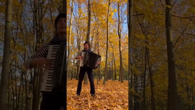 Осенний вальс на аккордеоне смотреть онлайн