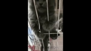 Ублюдок, мать твою, ты решил ко мне лезть?