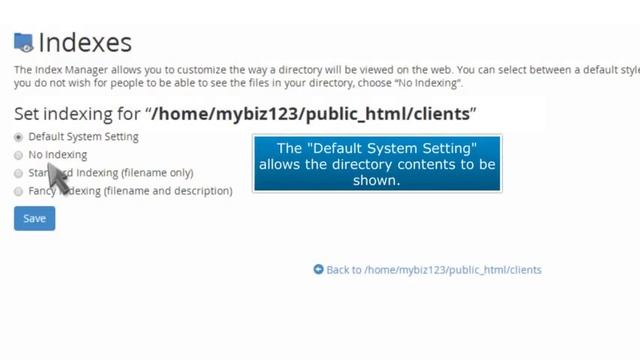 How to use the Index Manager in cPanel - CCIHosting.com смотреть онлайн