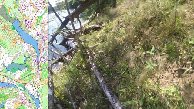18 08 24, Бобровые озера, Безово, Суворов, М16, headcam orienteering