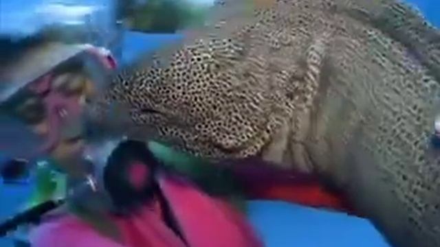 МОРСКАЯ МУРЕНА. САМЫЙ ОПАСНЫЙ ХИЩНИК В МОРЕ!!! смотреть онлайн