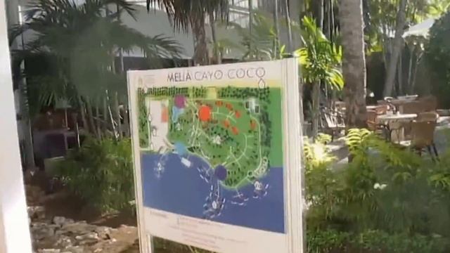 Melia Cayo Coco 5* Cayo Coco Cuba смотреть онлайн