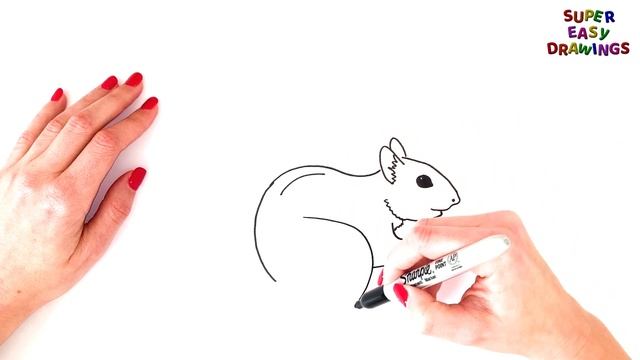 How To Draw A Squirrel Step By Step ?️ Squirrel Drawing EASY смотреть онлайн