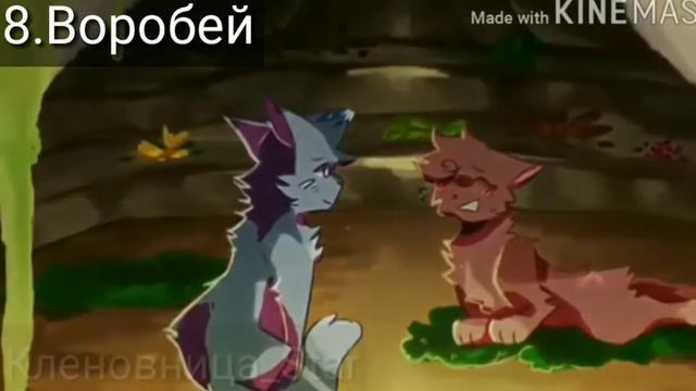 Коты воители клип °Жертвоприношение Алисы°все части смотреть онлайн