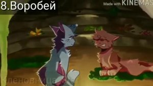 Коты воители клип °Жертвоприношение Алисы°все части