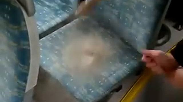 Сколько пыли в сиденье в автобусе смотреть онлайн