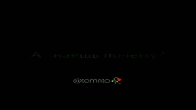 Цитаты смотреть онлайн