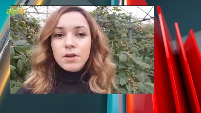 Деница Иванова: Работим за това на пазара да има целогодишно български свежи плодове смотреть онлайн