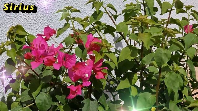 Денежные приметы: когда нельзя брать и давать в долг смотреть онлайн