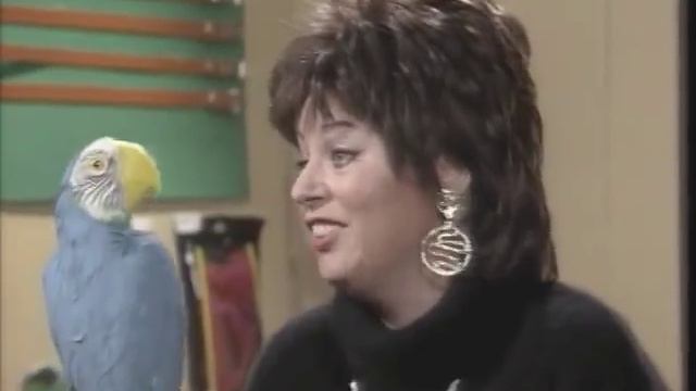 [BIG GIRLS BLOUSE] Monty Python's Flying Circus - The Parrot Sketch смотреть онлайн