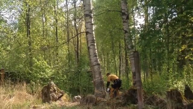 Расчистка участка от деревьев смотреть онлайн