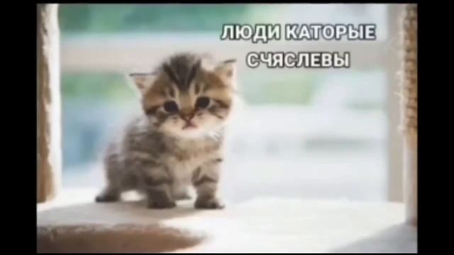 Люди Которые Счастливы.. смотреть онлайн