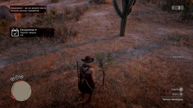 Черная смородина (blackcurrant) Red Dead Redemption 2 смотреть онлайн