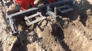 Посадка картошки двухрядной сажалкой.Беларус 320.4