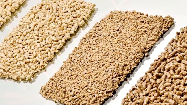 Производство комбикорма как бизнес идея смотреть онлайн