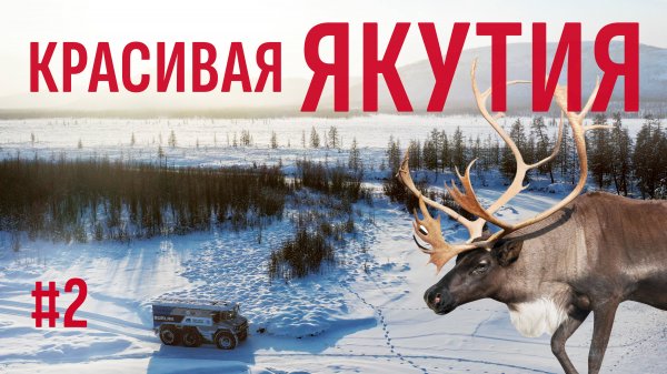 ЯКУТИЯ - САМЫЕ КРАСИВЫЕ НЕ ДОСТУПНЫЕ МЕСТА. НА БУРЛАКАХ ДОГНАЛИ ЯКУТСКОГО ДИКОГО ЛОСЯ. ЯКУТИЯ #2