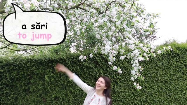 7 Random Romanian Words #5 смотреть онлайн