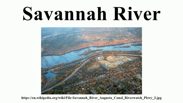 Savannah River смотреть онлайн