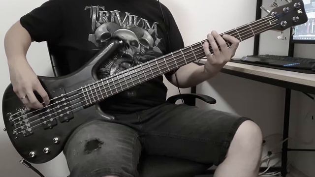 Trivium- The Heart From Your Hate [Bass Cover] смотреть онлайн