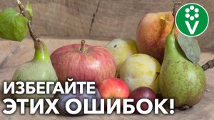 СОСЕДИ ПО САДУ – КАКИЕ РАСТЕНИЯ НЕ ДРУЖАТ МЕЖДУ СОБОЙ? Что с чем НЕЛЬЗЯ сажать рядом?!