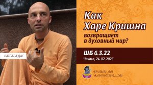 ШБ 6.3.22. Как Харе Кришна возвращает в духовный мир (24.02.2023, Чикаго). Ватсала дас