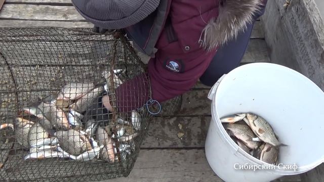 МНОГО РЫБЫ!!! Рыбалка на МОРДУШКУ-РАКОЛОВКУ смотреть онлайн