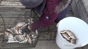 МНОГО РЫБЫ!!! Рыбалка на МОРДУШКУ-РАКОЛОВКУ