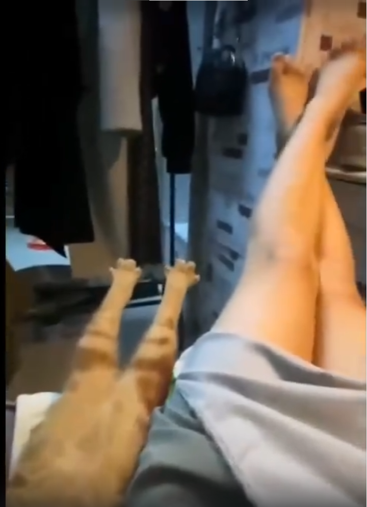 ПОДБОРКА МЕМОВ 2024 смотреть онлайн