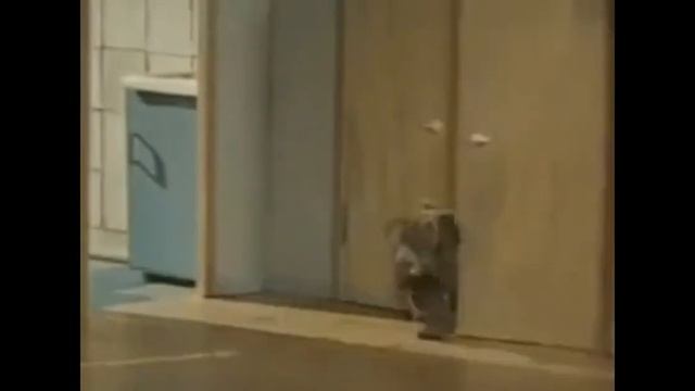 Домовёнок Кузя смотреть онлайн
