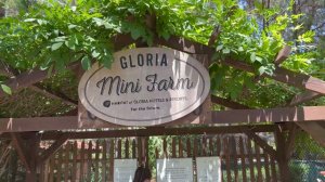 ГЛОРИЯ СЕРЕНИТИ 2022 GLORIA SERENITY RESORT 5* (Турция Белек)  - еда, номер, пляж, территория