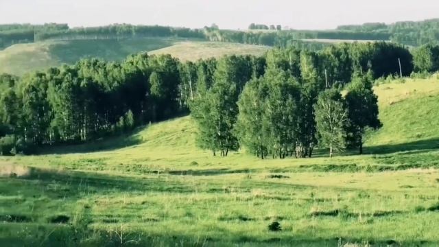 Честнейшую Херувим! смотреть онлайн