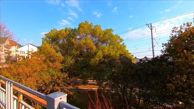 ?Санаторий Лазаревское\ Дом отдыха КОЛОС\ Сочинское шоссе\ Сочи 2020 25 Апреля