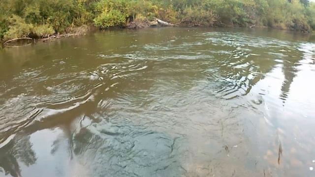 Хариус 2020 в сентябре на горной речке, пеший поход в тайгу день 2 смотреть онлайн