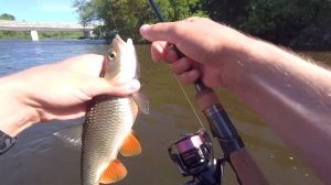 Красивая Меча - сказочная рыбалка