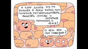 Патофизиология белой крови. Лейкозы. Гемобластозы