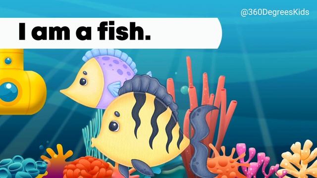 Ocean Animals | Funny And Fun Facts About Underwater Animals смотреть онлайн