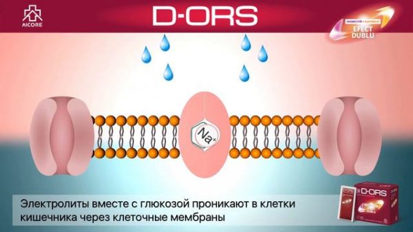 КАК ДЕЙСТВУЕТ Д-ОРС (D-ORS)