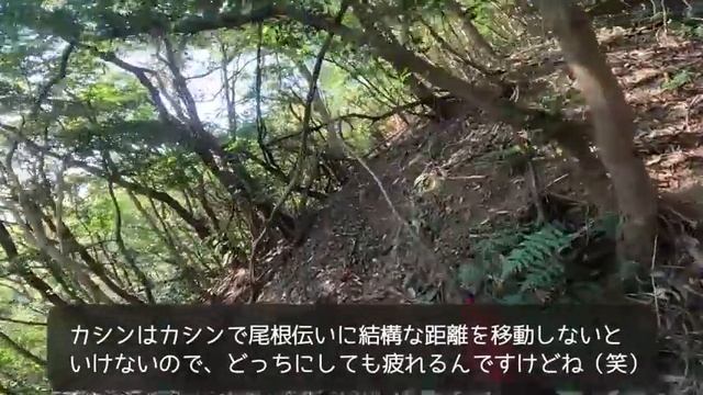 【猟犬アスカ放して1分35秒】捕獲までノーカット！スーパーヘッドショットでイノシシ一撃！ смотреть онлайн