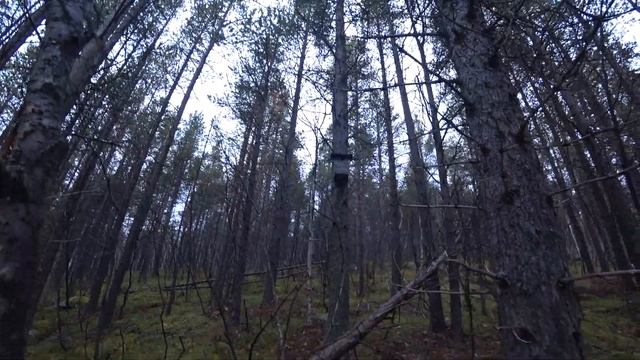 Вездеход или лодка ? или зачем ломать голову)) смотреть онлайн