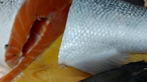 Малосольная семга!!!Правильно чистим и солим семгу!!!