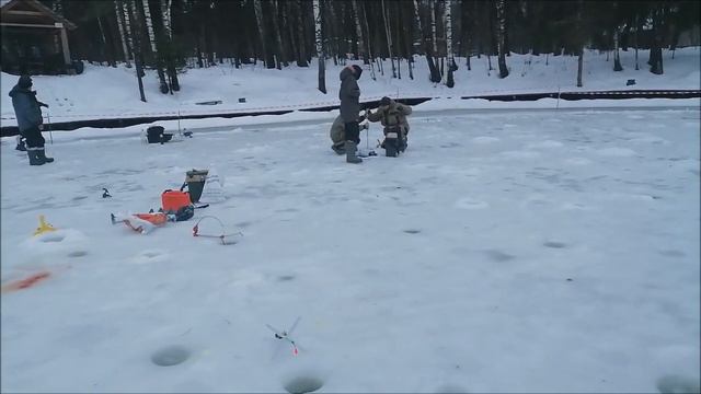 Утро на спорт-зоне. Поимки форели до запуска. Клёвое место Лосиный остров. смотреть онлайн