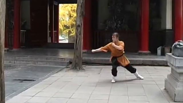 В Шаолине (шаолиньцюань, Жданова С.С.) смотреть онлайн